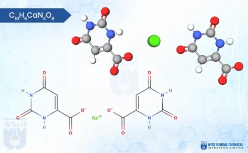 Calcium Orotate