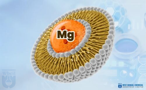 Magnesio liposomal