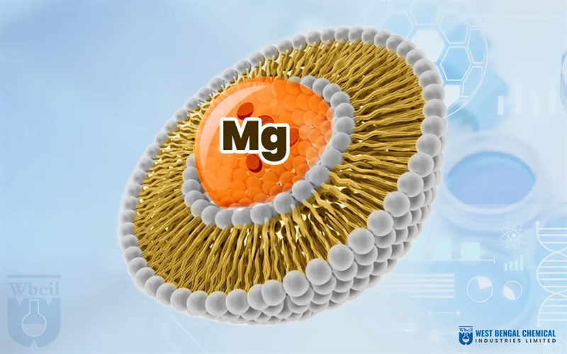 Liposomal Magnesium