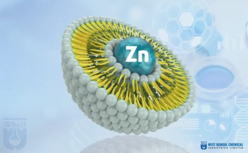 Liposomal Zinc