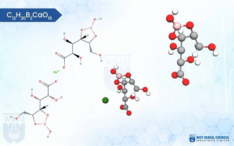 Calcium Borogluconate