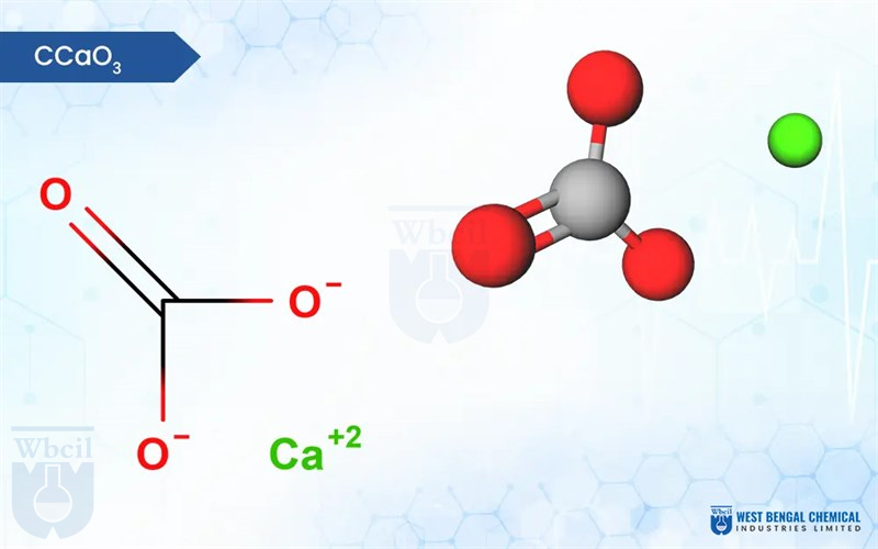 Coral Calcium