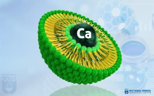 Liposomal Calcium