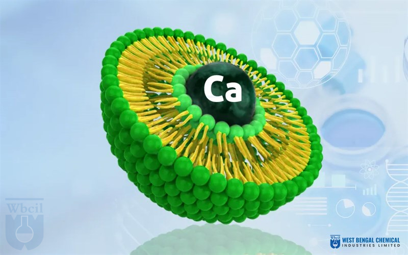 Liposomal Calcium