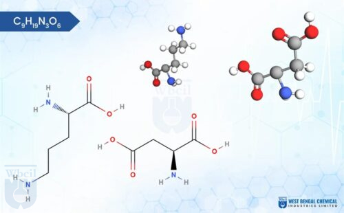 L Ornithine L Aspartate