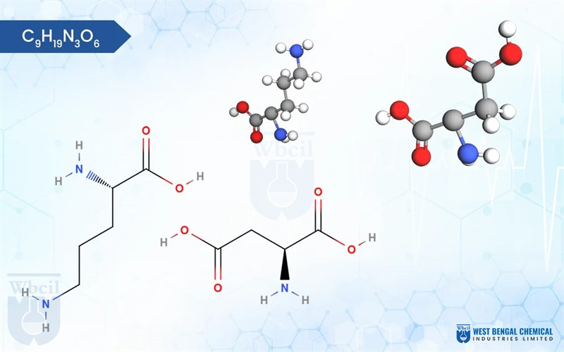 L Ornithine L Aspartate