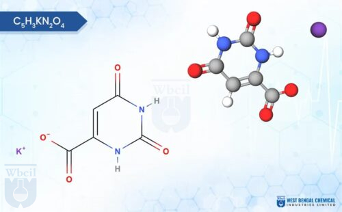 Potassium Orotate