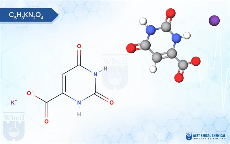 Potassium Orotate