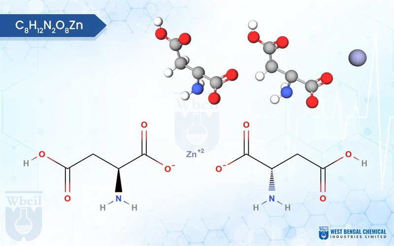 Zinc Aspartate