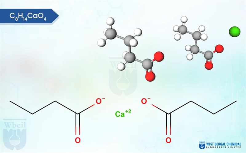 Calcium Butyrate