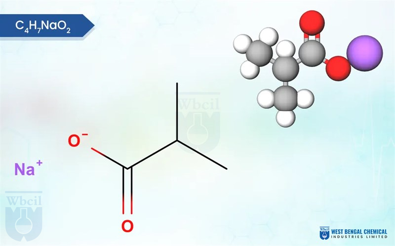 Sodium Isobutyrate C4H7NaO2