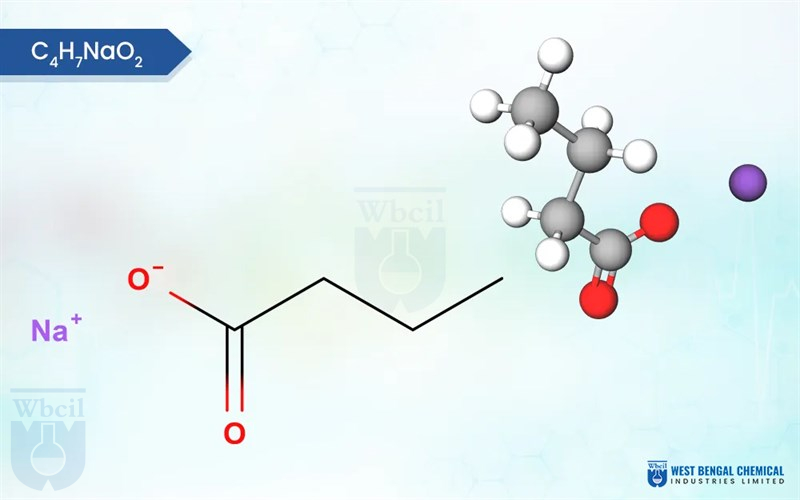 Sodium Butyrate