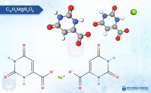 Magnesium Orotate