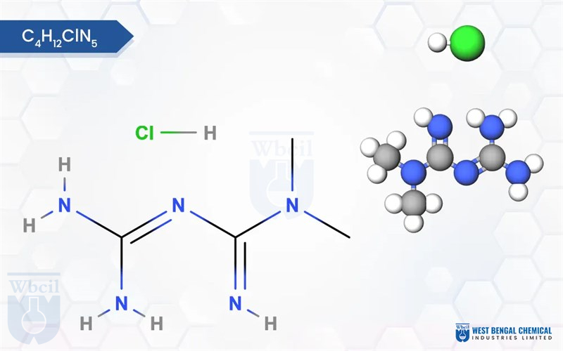 Metformin HCl