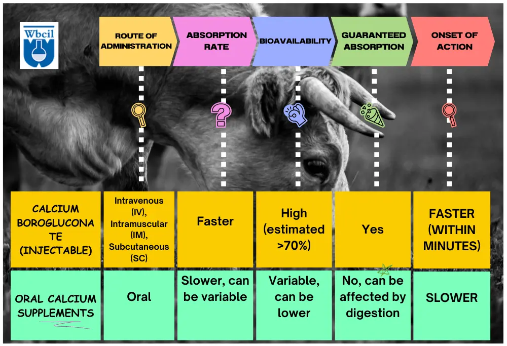 Calcium borogluconate comparative chart