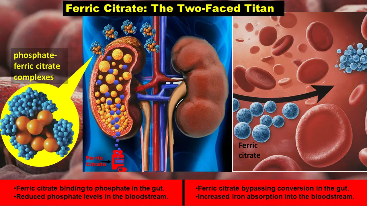 Role of ferric Citrate