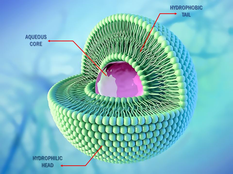 Liposomal- Technology-WBCIL