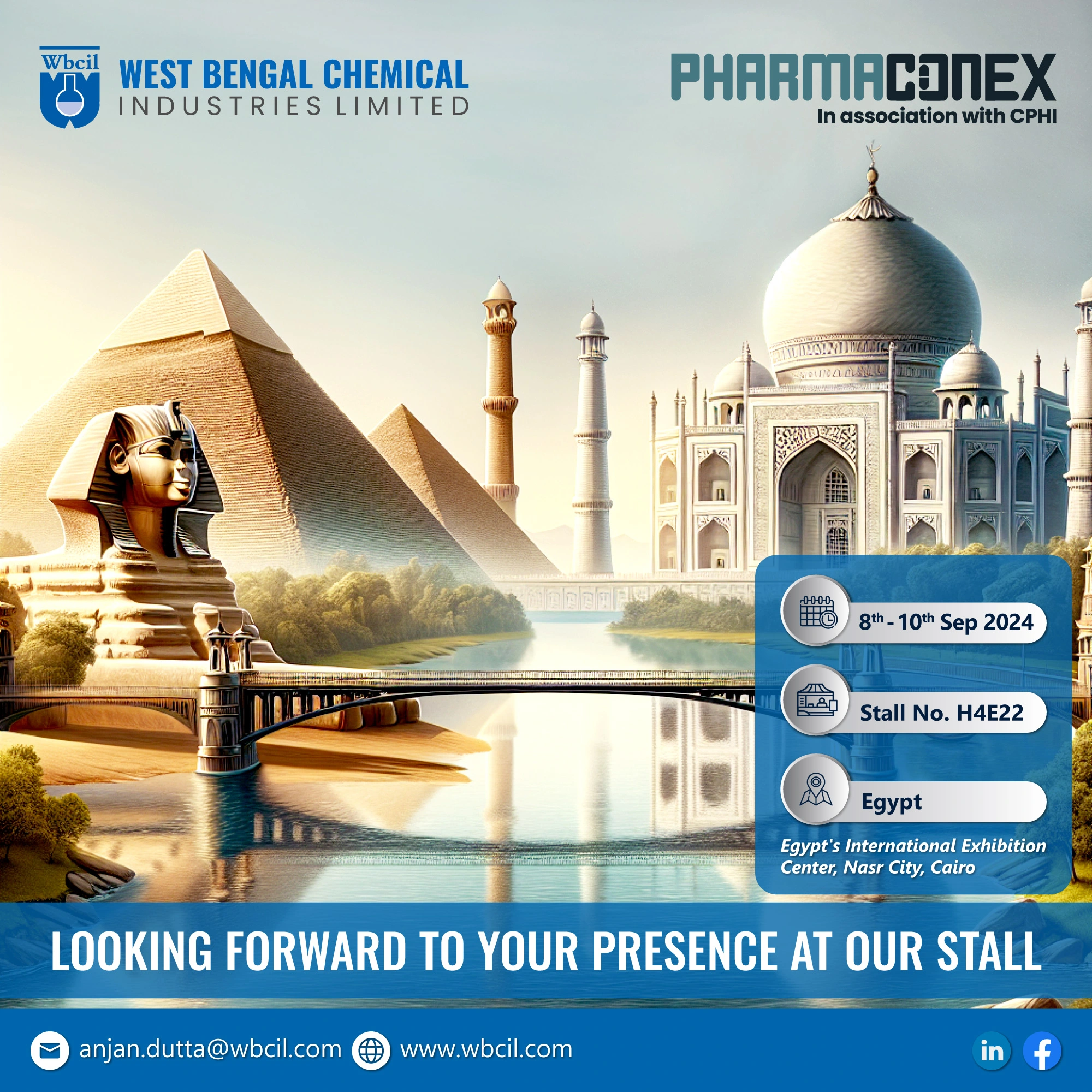 Egypt pharmaceutical industry