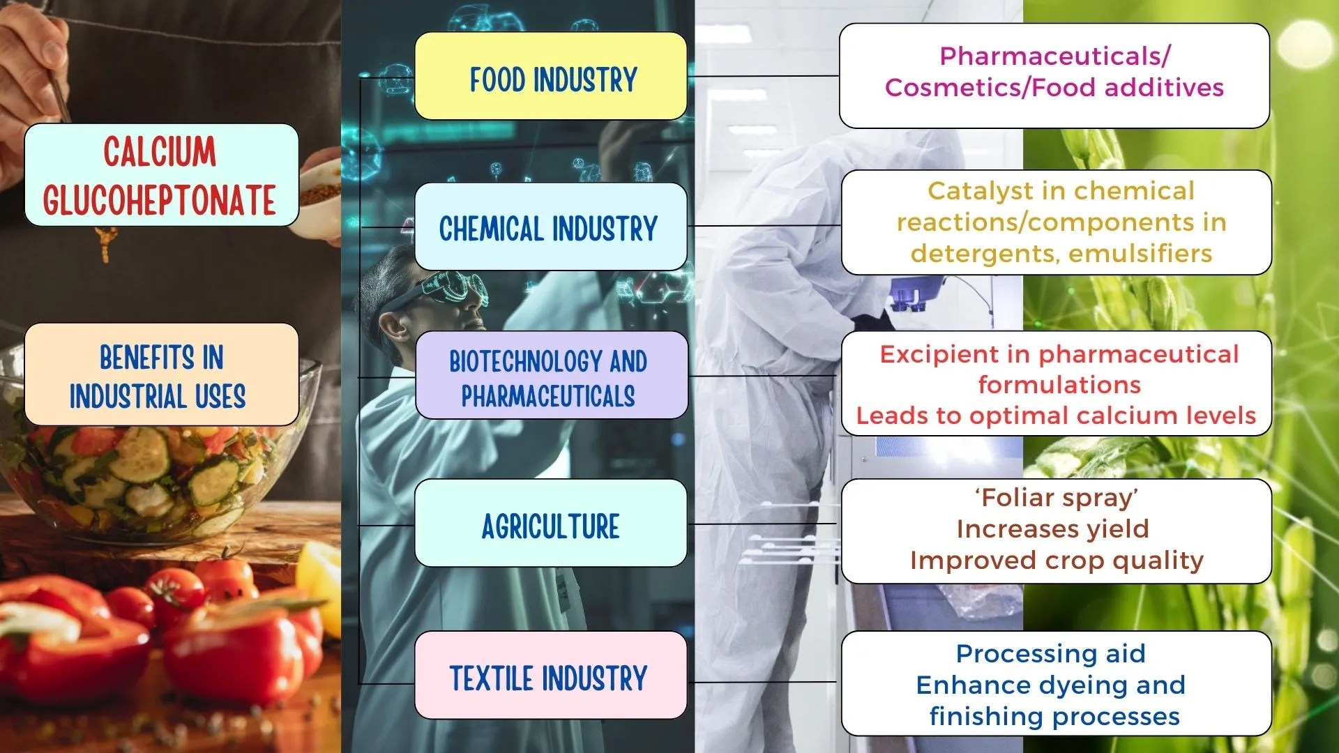 Role of Potassium Supplements (2)