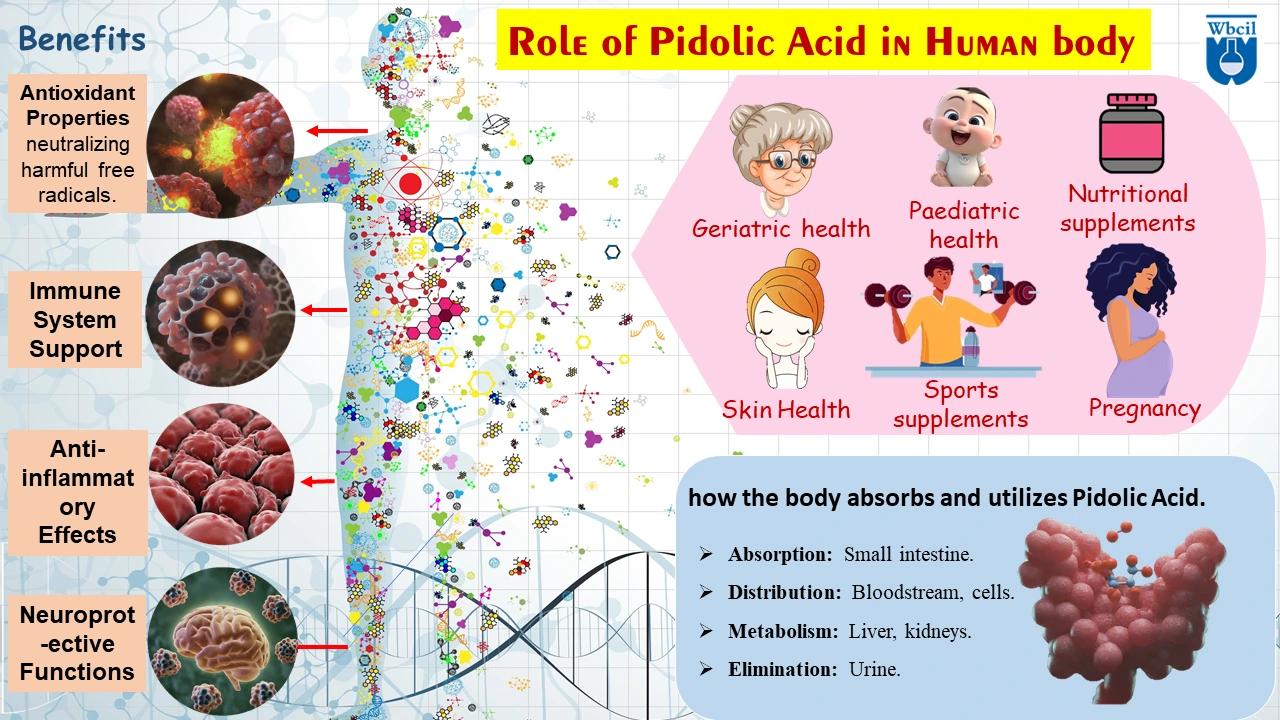 Pidolic acid and its benefits