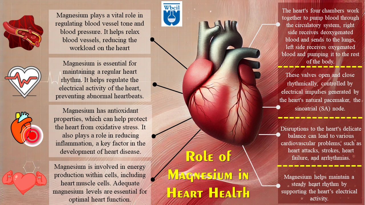 Role of magnesium in heart health