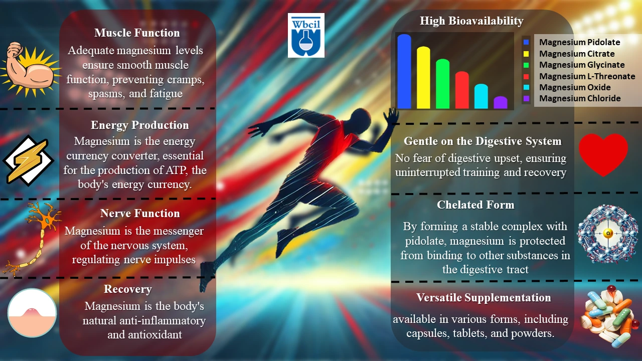 Why Magnesium Pidolate is Becoming Essential in Sports Nutrition