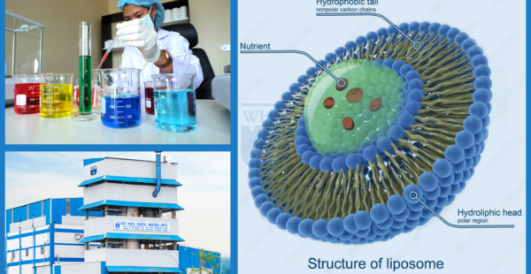 Liposome Drug Delivery