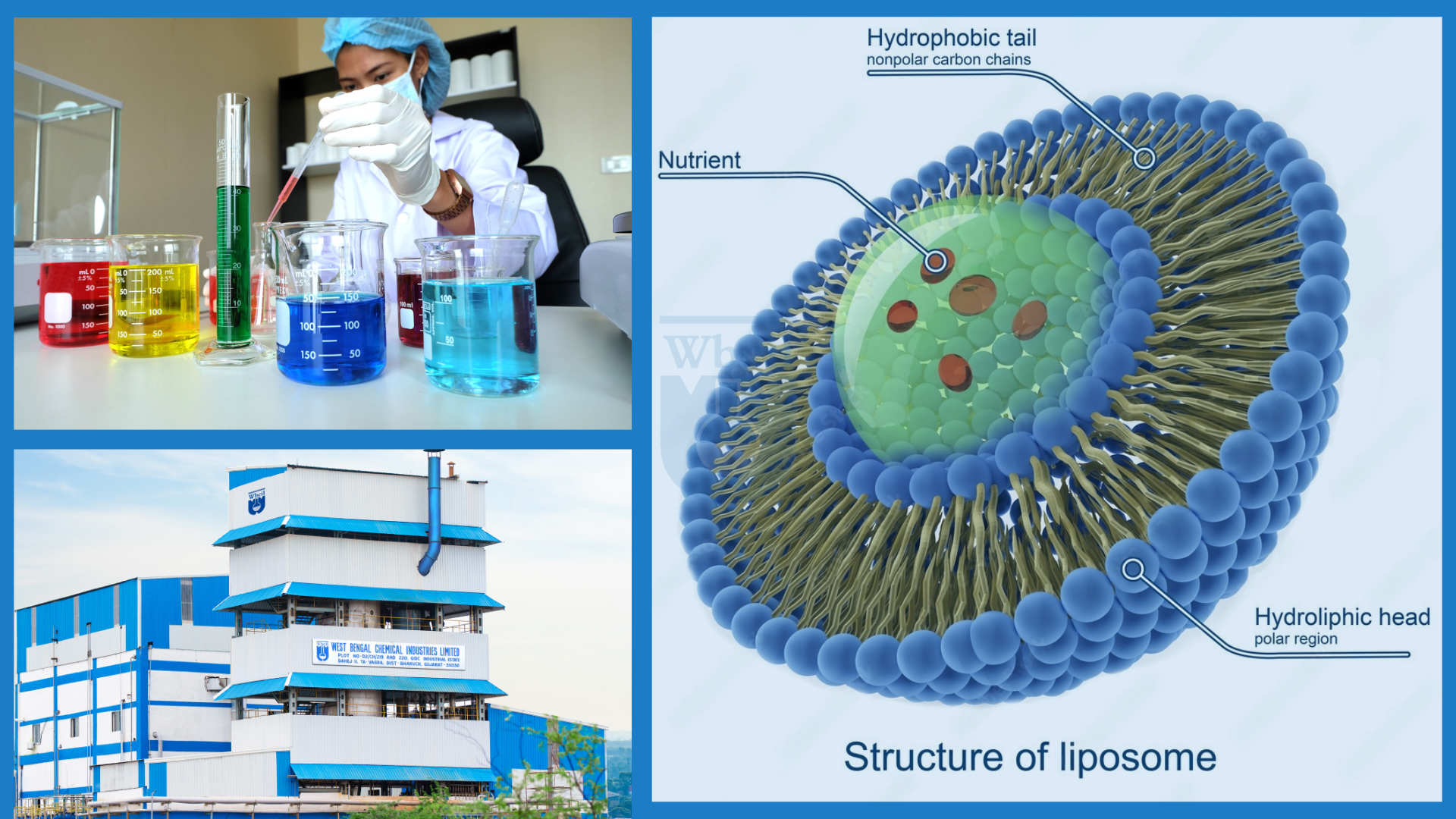 Liposome Drug Delivery