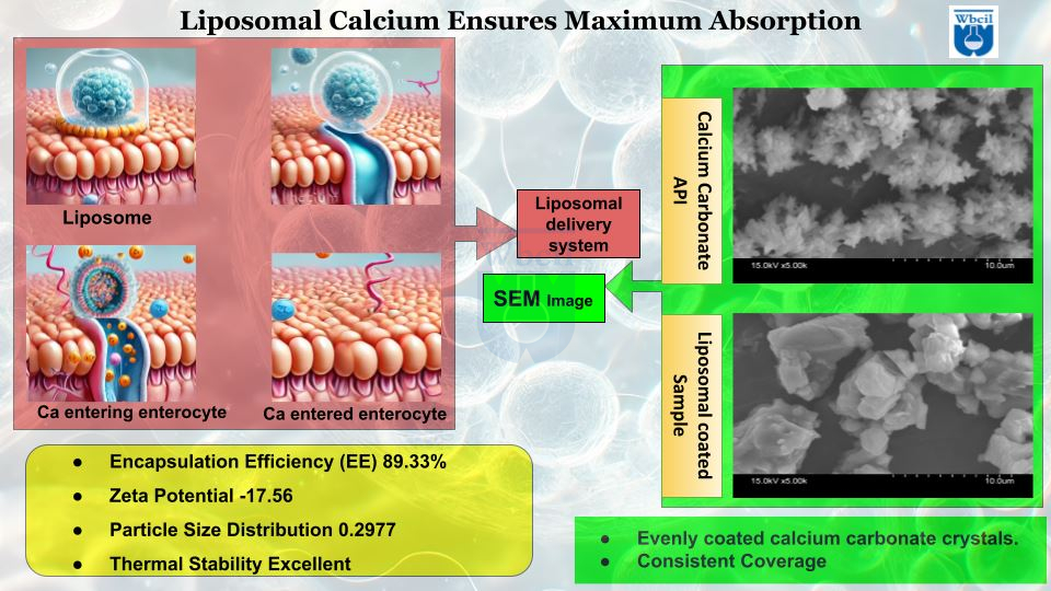 benefits of liposomal calcium​