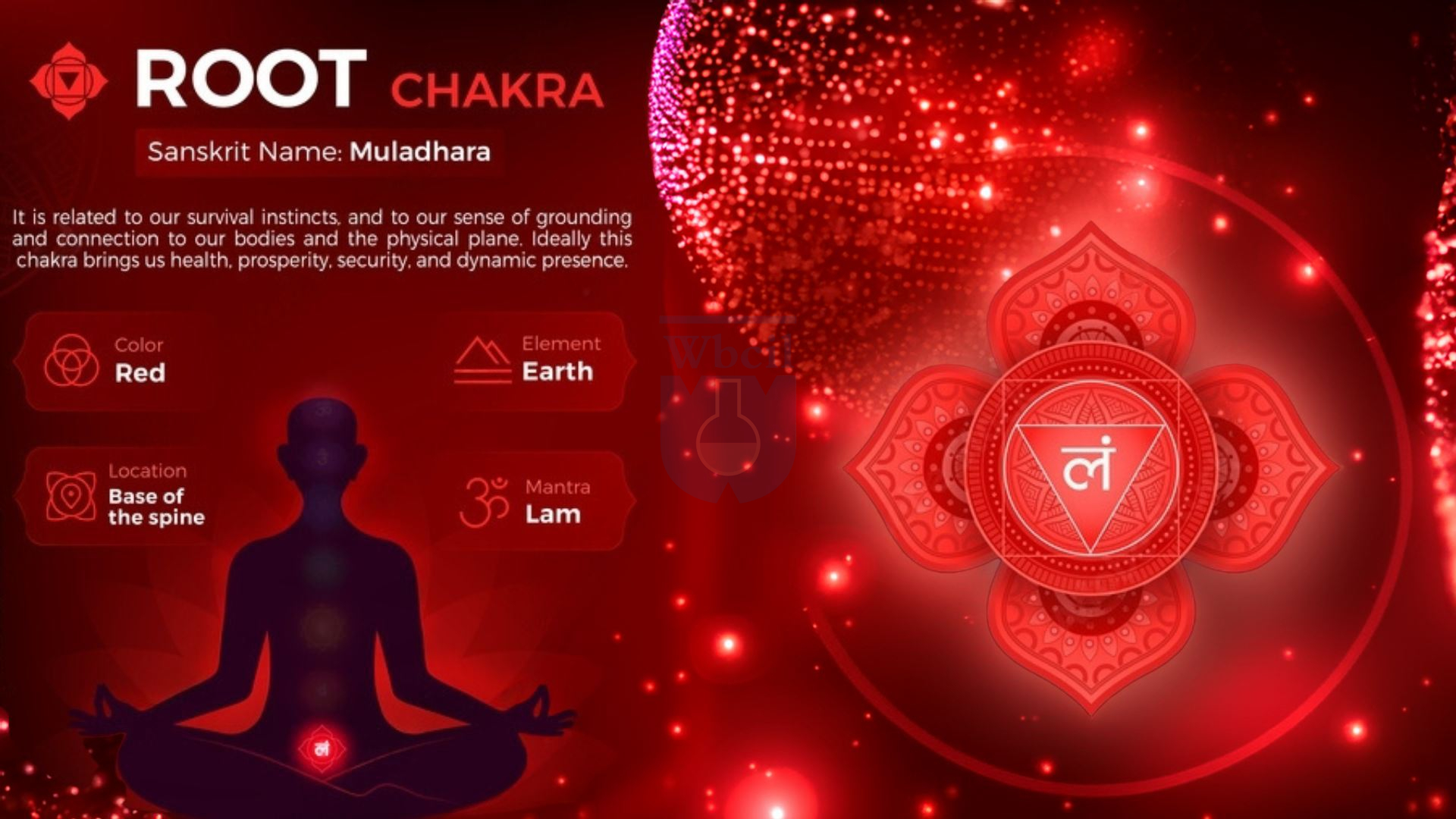 Understanding the Root Chakra and Its Role in Wellness