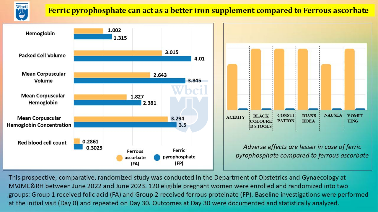 Bioavailability of ferric pyrophosphate