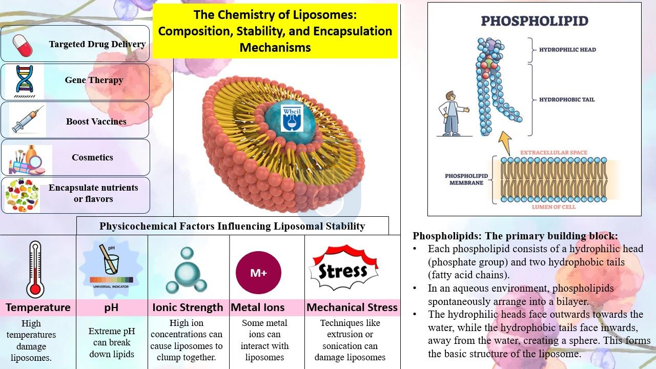 The chemistry of liposomes