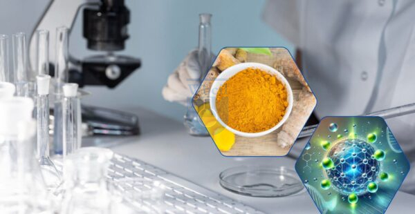 From Turmeric to Liposomes the Evolution of Curcumin Supplements